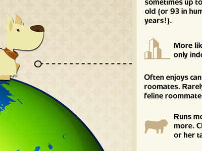 Small Dog Infographic Callout animal dog infographic vector