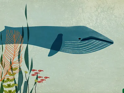Sustainable blue whale fish illustration ocean sea under water