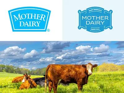 What if Series 2 - Mother Diary animation brand branding cheese cow design design inspiration diary flat design fresh design illustration indian brand indian logo inspiration logo milk modern