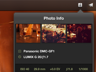 Photo Info Popover everpix ipad metadata popover ui
