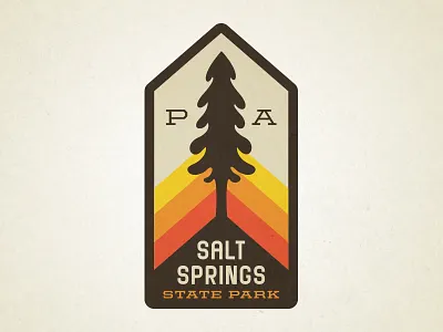 Salt Springs badge park patch pennsylvania