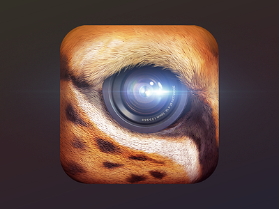 Primal app cat cheetah editing fur graphic design graphics icon icon design icons illustration lense video