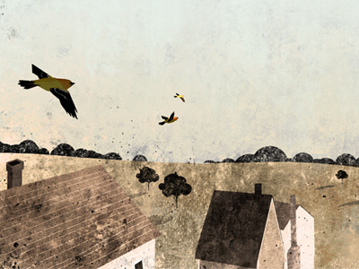Orioles Over Howard County birds