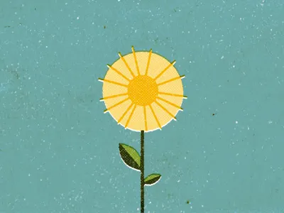 Spring dandelion flower soon spring texture