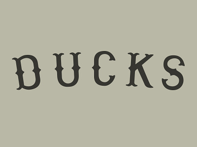 Ducks custom type duck ducks lettering logo logotype