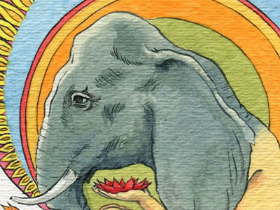 Elephant