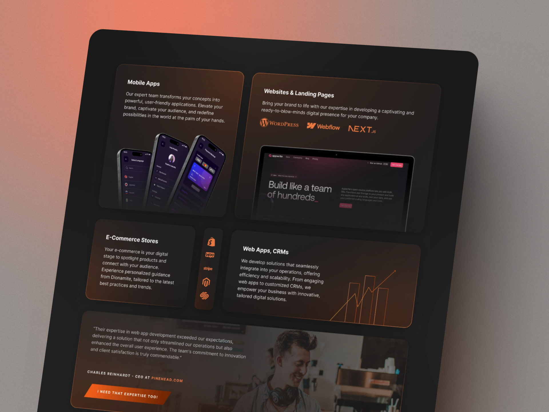 Example of Landing Page Design