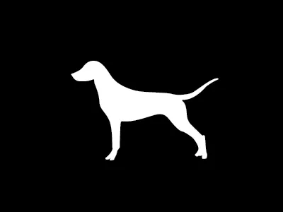 Doggy animal dog illustration