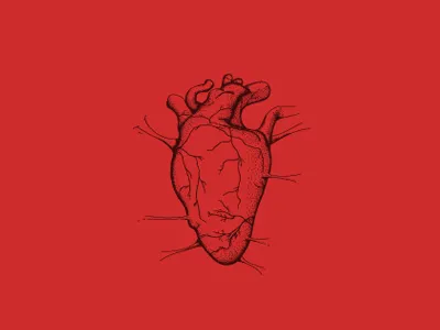 Heart heart illustration red