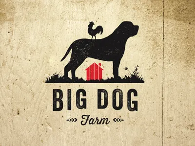 Big Dog Farm brand identity logo signage
