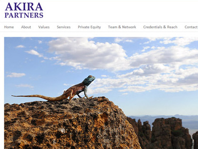 Akira Partners LLP ui design web design web development