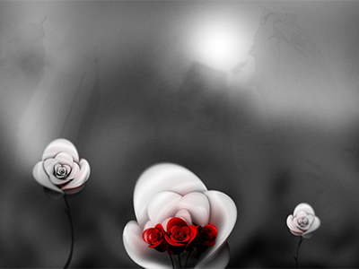 Post Tenebras Lux 3d c4d dof ps roses