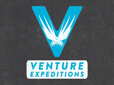 Getting somewhere... bird branding logo phoenix rebrand texture v venture ventureexpeditions wings