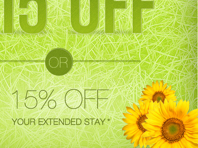 Spring Savings Promo email promotion spring