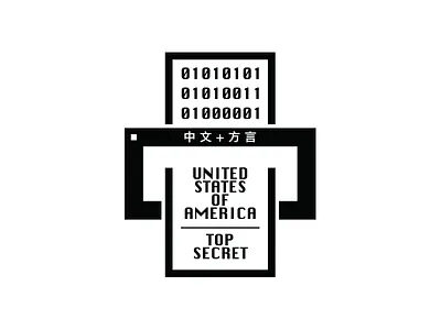 T̶o̶p̶ ̶S̶e̶c̶r̶e̶t̶ binary china hacking scanner top secret usa