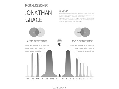 infographics cv (progress) cv design infographics