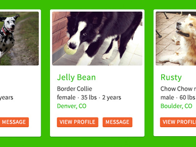 DogDates 2 dog dogs green homepage orange play date pup puppy skillshare startup website