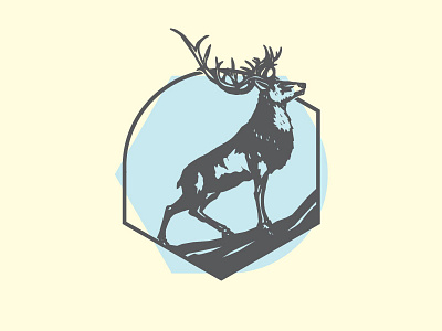 N.I-draft3 identity logo profile symbol