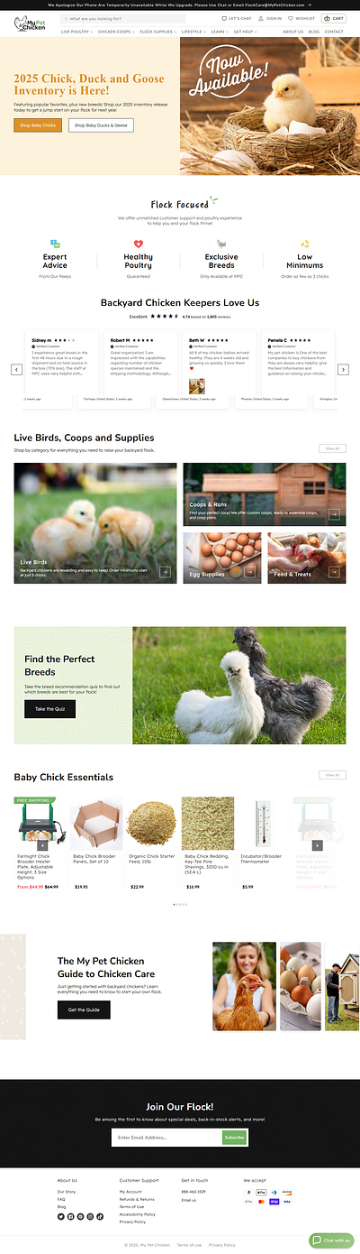 MY PET CHICKEN branding marketing optimization seo shopify shopify design website design