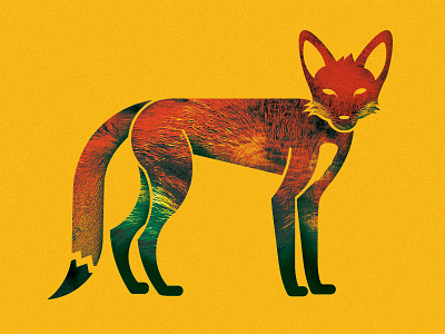 Fox Illustration fox illustration texture