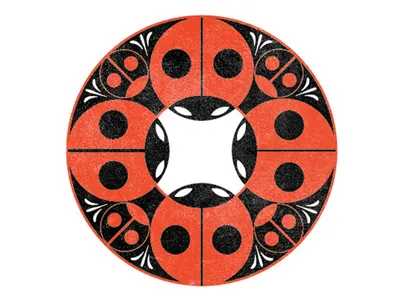 O ladybugs o symmetry