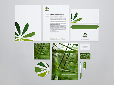 Serendipity Innovations, Identity brand branding corporate identity logo logotype print stationary