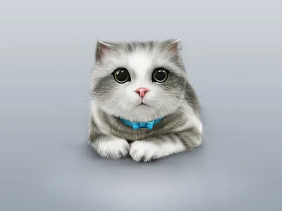 Cat cat cute icon zelfy