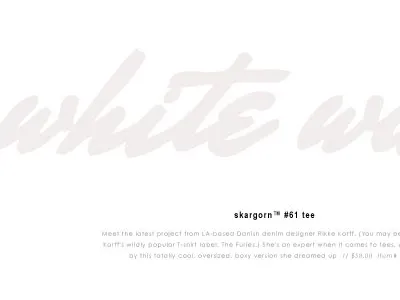 whitewash brush neutral type white