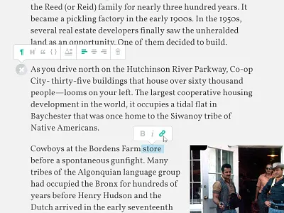 Text Edit Gizmo bold drop cap edit editing flat icon link marquee paragraph publishing text