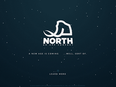 NorthApp.co Website branding css3 html5 logo responsive snowfall website