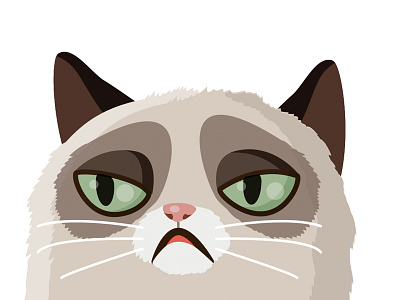 Vector grumpy cat cat grumpy cat no! vector