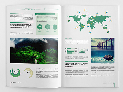 Corporate brochure template. branding brochure corporate infographics layout