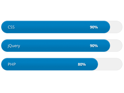 Skills skills theme web design wordpress