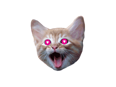 Fuel seizure kitten (cuz I could)