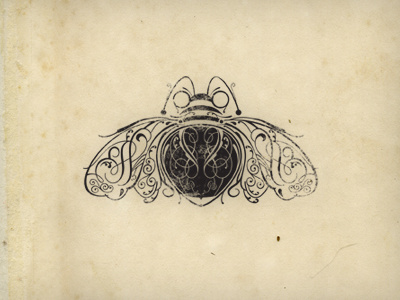 Firefly concept firefly old style