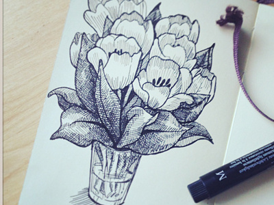Sketch of tulips art drawing illustration ink pen sketch