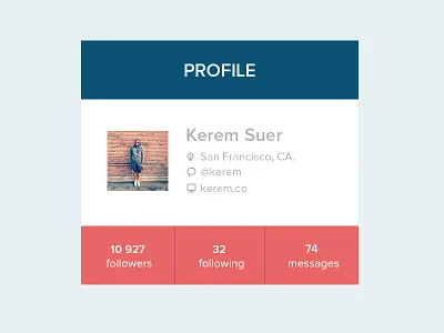 Flat Profile flat icons kerem suer profile ui ux