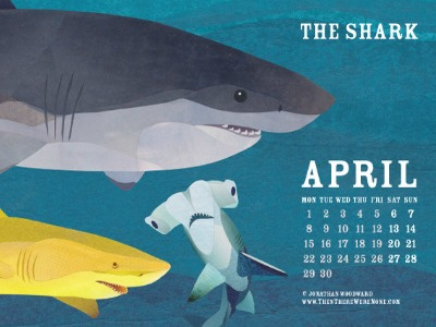 New Desktop Wallpaper For April collage great white shark hammerhead lemon shark ocean shark