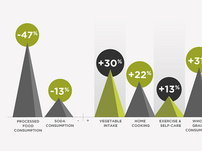 Lifestyle Improvement Stats Infographic chart circles gains green grey infographic losses minus plus pyramids stats triangles