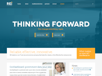 REI Systems Homepage header home typography ui ux