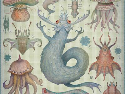 Marine Curiosities Tab. II animals cephalopods creatures insects marine creatures