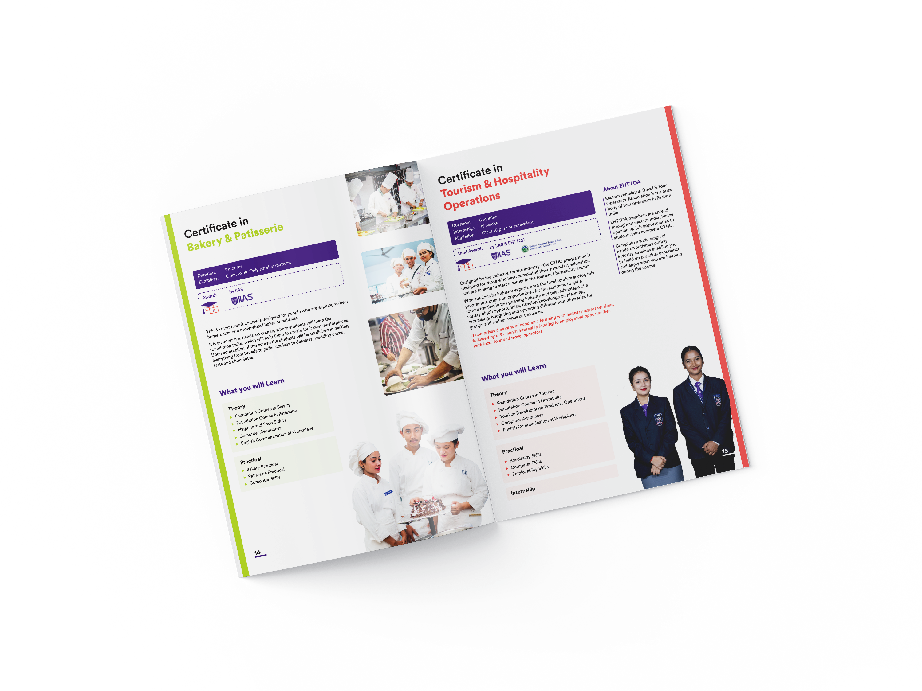 Brochure - Prospectus branding brochure college graphic illustrator management print media printing vector