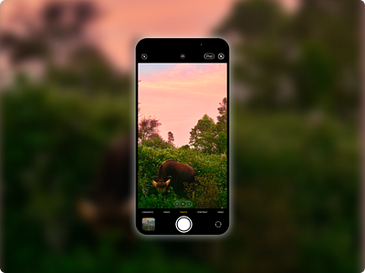 90 Days UI Challenge - #29 | A Camera View Screen app camera design graphic design product card product design ui