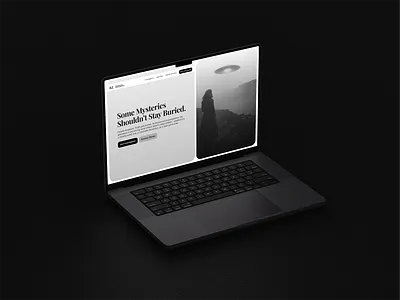 Private Investigation Company branding product design ux design webdesign