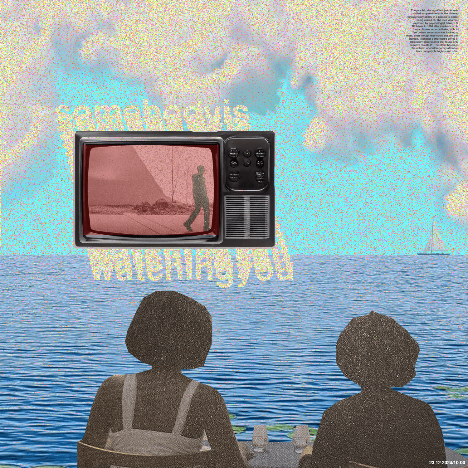 *Somebody Is Watching You* collage collage poster design graphic design poster