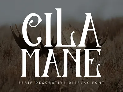 Cilamane Serif Decorative Display Font branding font fonts graphic design logo modern font nostalgic old font serif font vintage font