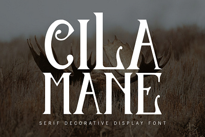 Cilamane Serif Decorative Display Font branding font fonts graphic design logo modern font nostalgic old font serif font vintage font