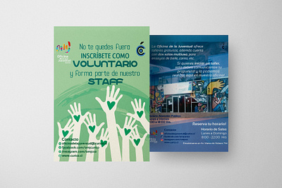 Práctica Profesional | Diseño Gráfico design diseñadora flyer folletos graphic design illustration