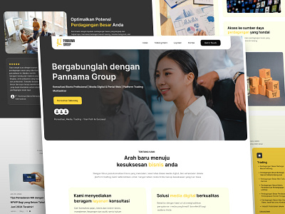 Pannama Group - Business Consultant Website branding graphic design ui