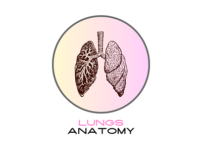 Lungs Anatomy: A Detailed Digital Illustration app branding design graphic design illustration logo typography ui ux vector